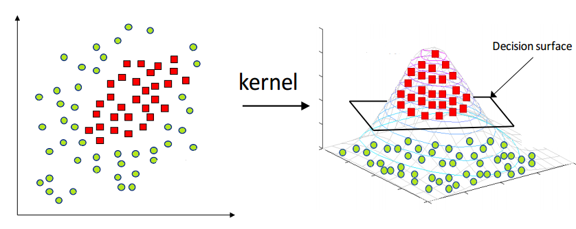fig1