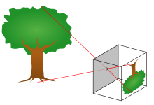 fig1