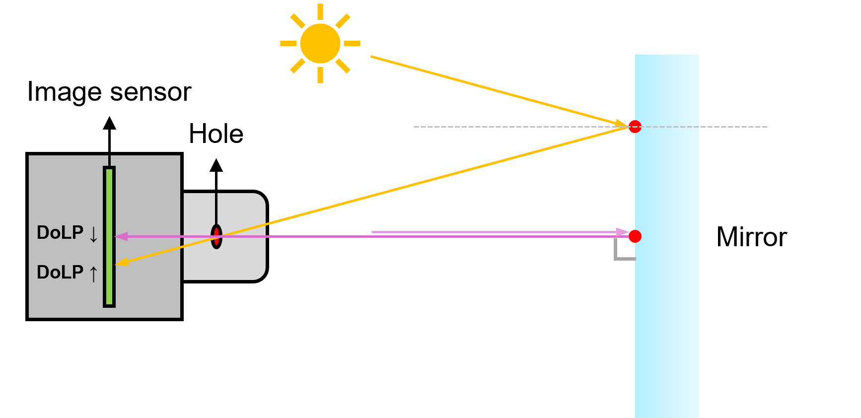 fig5