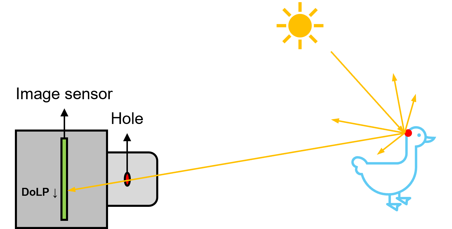 fig6