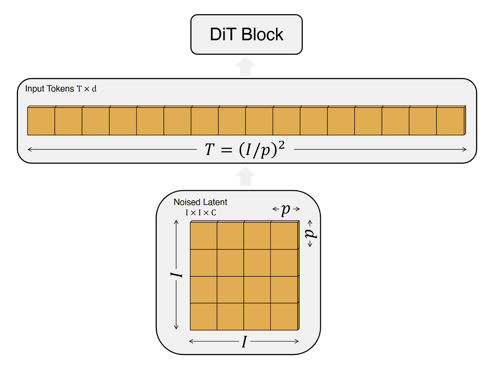 fig2