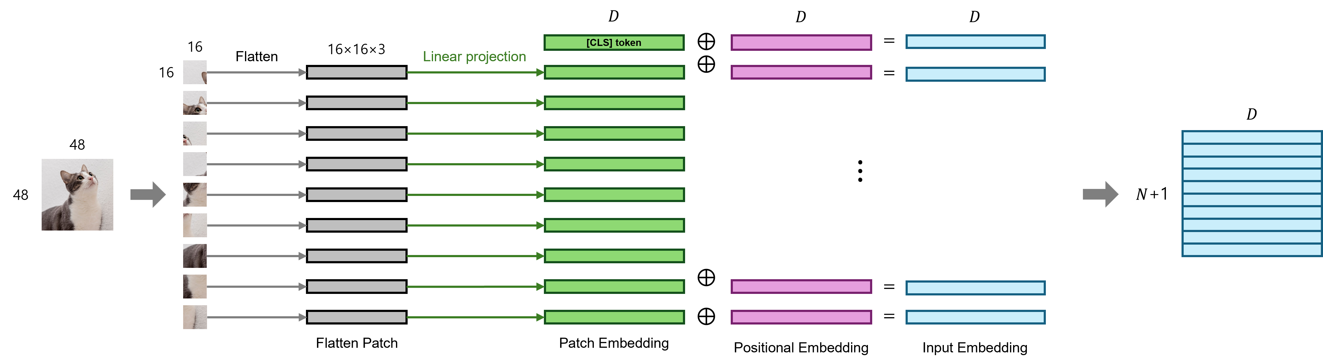 fig2