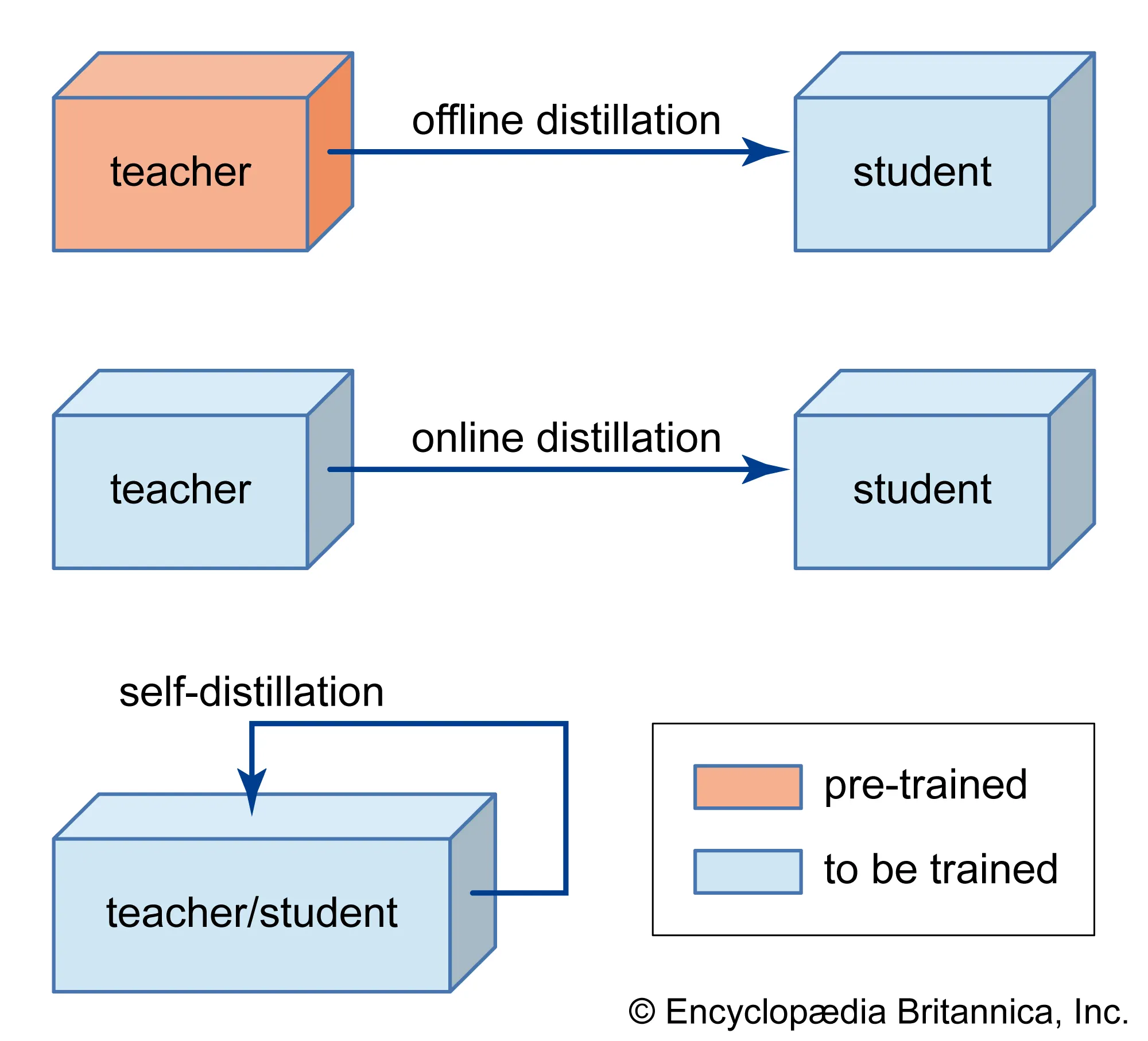 fig2