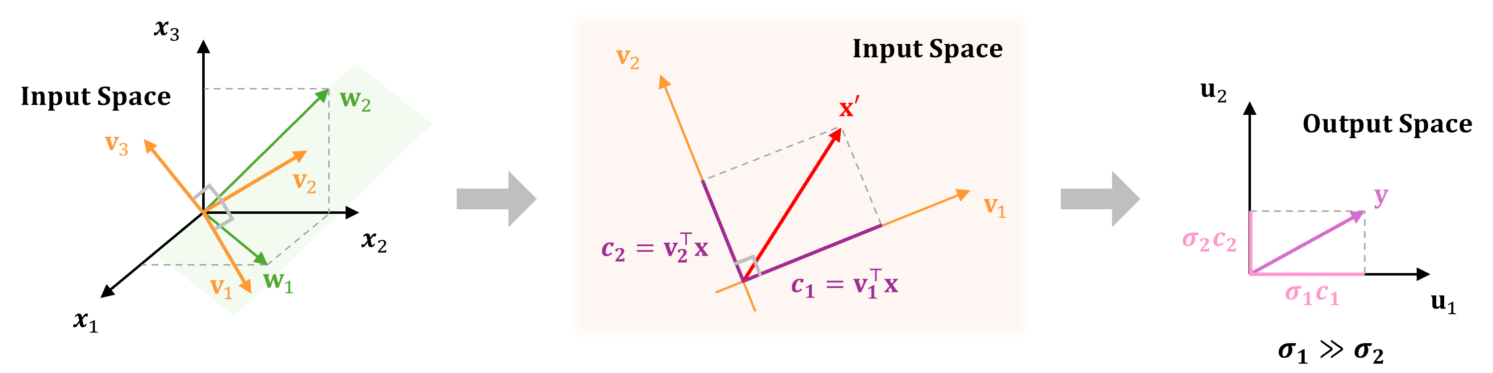 fig5
