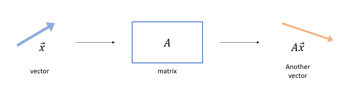 fig1