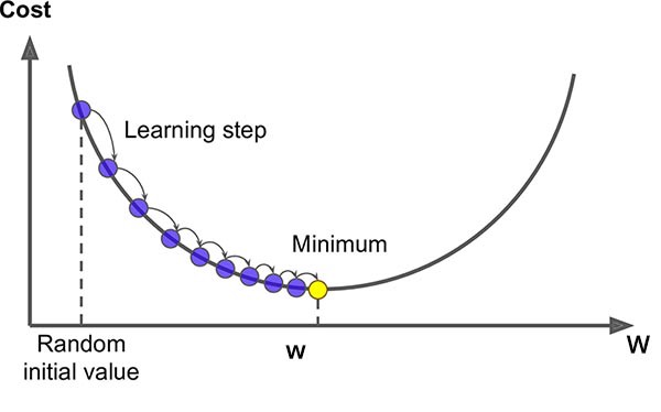 fig2