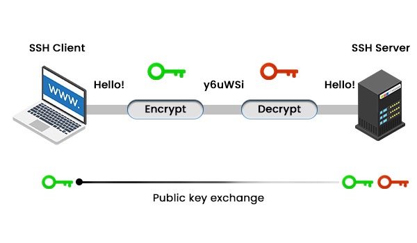 fig1